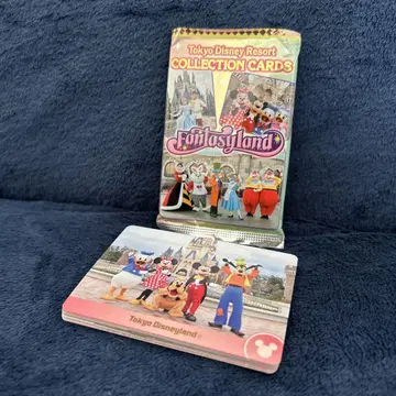 최저가 Disney 컬렉션 카드 판타지랜드 14장