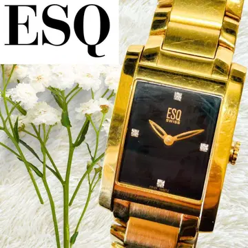 작동 ESQ 손목시계 골드 금 블랙 블랙 남성용 배터리 교환 E5342