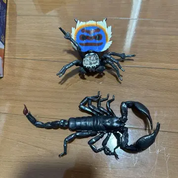 피콕 스파이더와 제왕 전갈