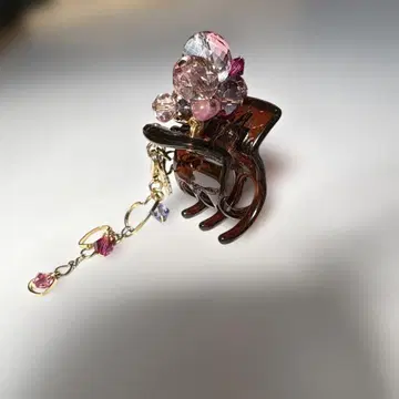 Reine Claude 헤어 클립 헤어 액세서리