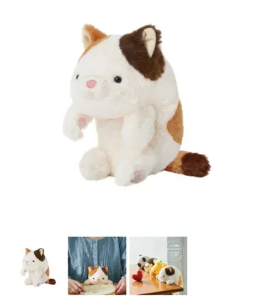 [ 새상품급 ]  고양이
