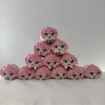 사토미 군 모찌코로링