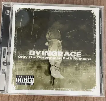 DYINGRACE Only Determined Path Remains