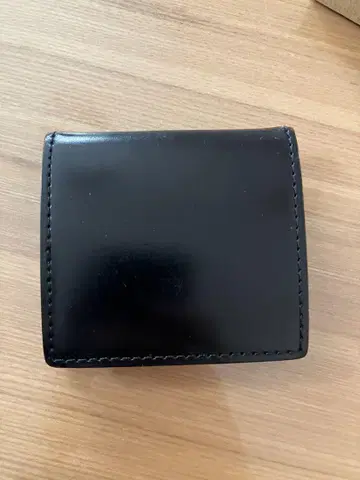 GANZO 블랙 코인 케이스