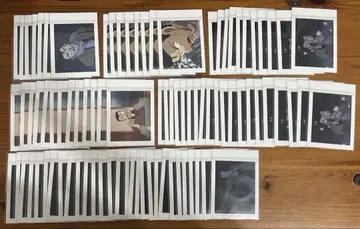 유명한(모리 코고로) 파샤코레 묶음 판매 외눈의 잔상