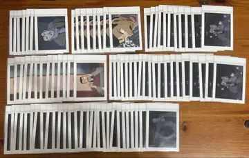 유명한(모리 코고로) 파샤코레 묶음 판매 외눈의 잔상