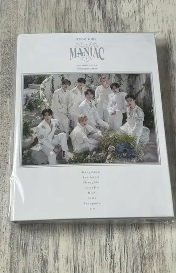Straykids maniac 굿즈 트레이딩 카드 케이스