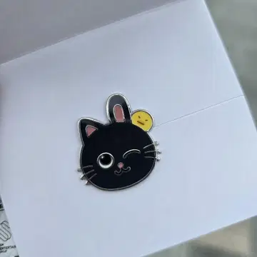 RIIZE 원빈 냥덕 참