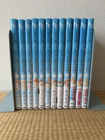 어차피 사랑하게 될 거야. 전 12권