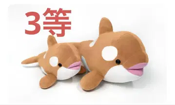 고베 스마 월드 범고래 오르카 봉제 인형 한정 컬러