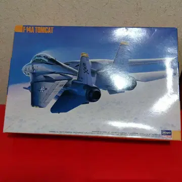 그라만 F-14A 톰캣 하세가와