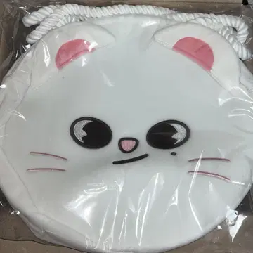 지니 레트 토트백 stray kids 현진