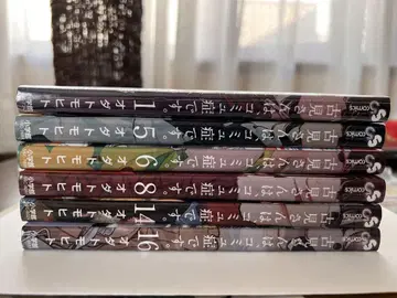 마법의 서 1-6권 세트