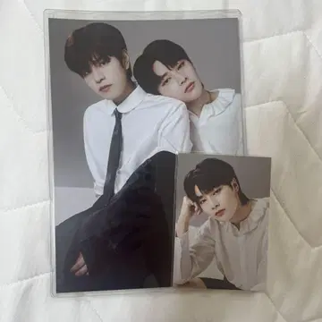 StrayKids scawaii 아이엔 엽서 미니 포스터