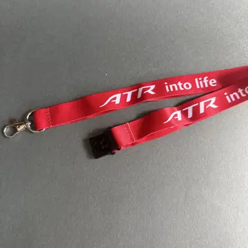 ATR Avions de Transport Regional 스트랩