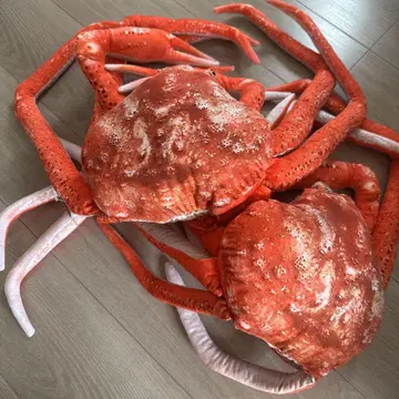 게 가니 카니 봉제 인형 해산물 시장