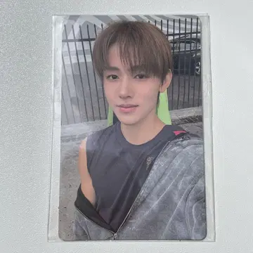 CORTIS 한국 weverse 럭키 드로우 트레이딩 카드 송현