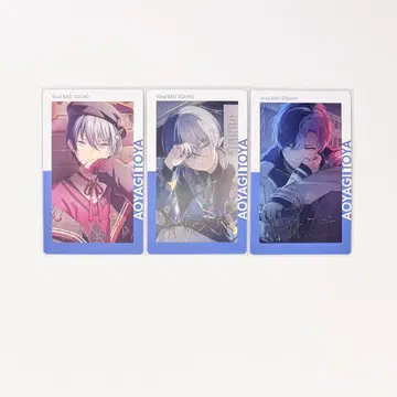 프로세카 에피카 21A 21B 22B 아오야기 토우야 금박