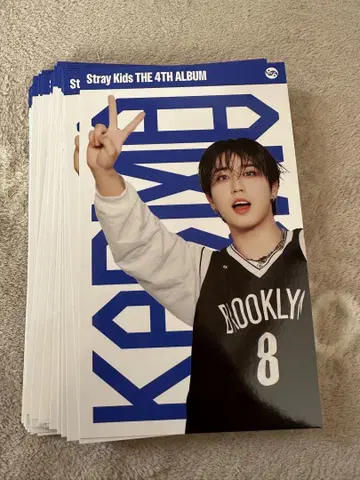 straykids karma 한 43장