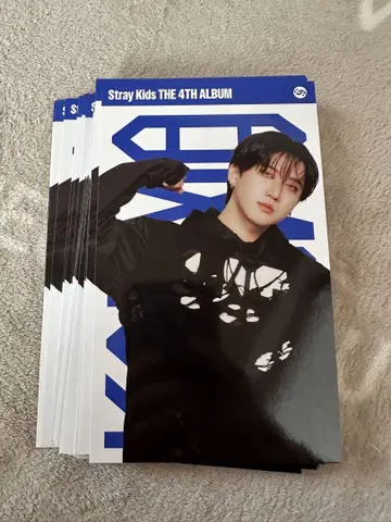 straykids karma 창빈 43장