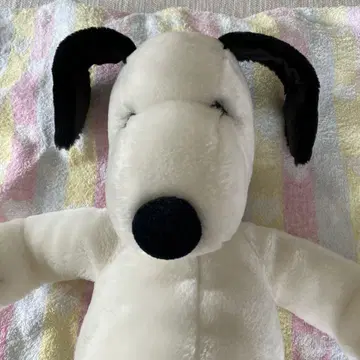 스누피 50cm