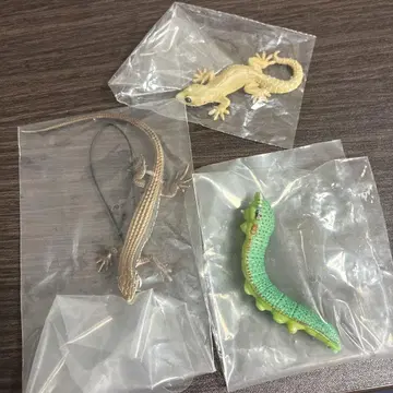 도마뱀 캡슐 토이 3개 세트