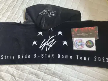 straykids 업그레이드 5STAR