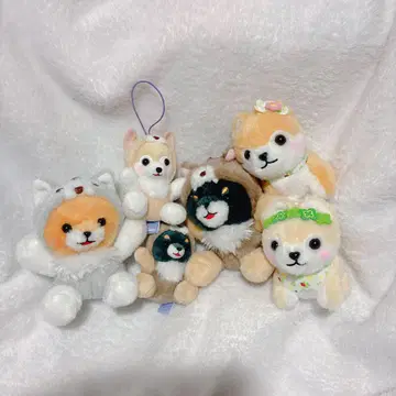 콩시바 삼형제 릴렉스 봉제 인형 늑대 클로버 봉제 인형 키링