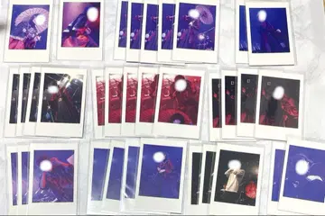 유키미 실사 트레이딩 카드 Prism CD