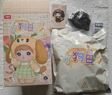 Nommi 강아지 일기 브라운 카카 강아지