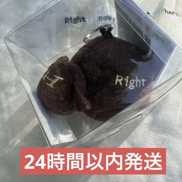 양문학 굿즈 [ 이마, 코코 ] 투어 히츠지짱 봉제 인형 키링