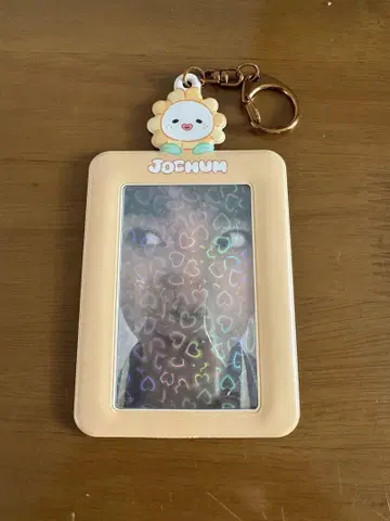 JO1 JOCHUM Bira 사토 케이코 트레이딩 카드 케이스