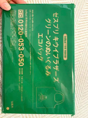 [ 가격 인하 ] 제스프리 키위 브라더스 봉제 인형 에코백 미개봉 새상품