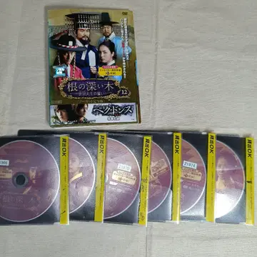 뿌리 깊은 나무 노컷 완전판 12장