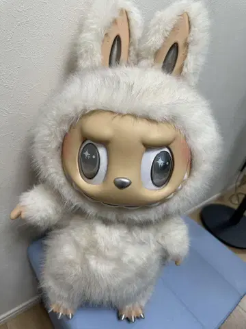 엔젤 허벅지