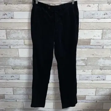 Tex Teq 코듀로이 팬츠 size 46 일본제 브리스벤 모스