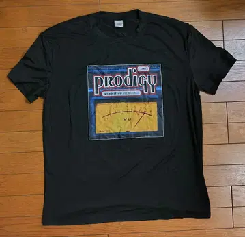 프로디지 prodigy wind it up