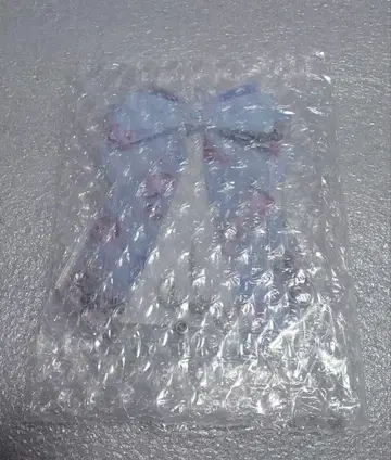 후쿠야 리본 아크릴 프레임 플라워 가든 라이트 블루