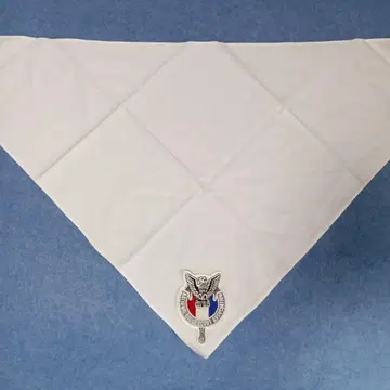 빈티지 이글상 미국 연맹 NESA 네커치프