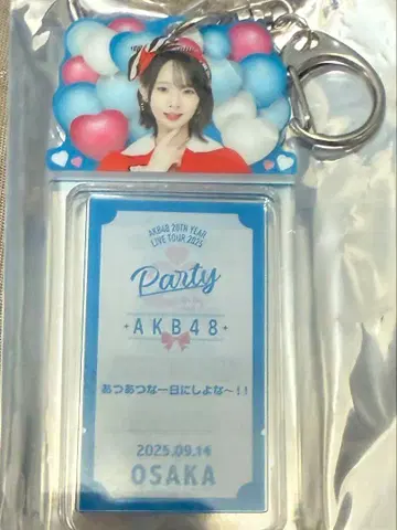 AKB48 party SPECIAL 복권 나리타 카나 아크릴 키링
