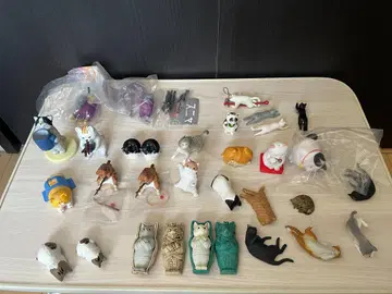 고양이 가챠가챠 초특가 세트