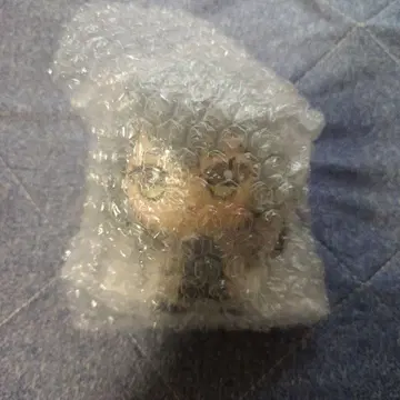 학원 아이돌 마스터 SD 인형 츠키무라 테마리