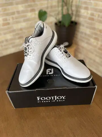 FootJoy 골프화 25cm (57933J )