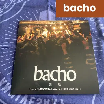 초레어 선착순 bacho 출항 LIve at SHELTER