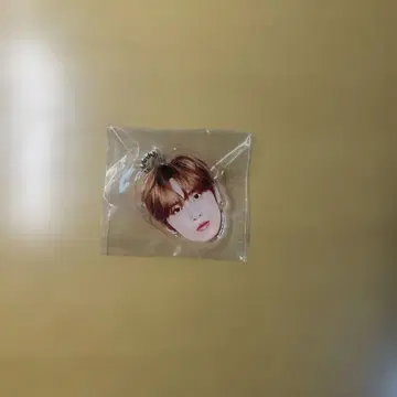 INI 허풍범 얼굴 키링