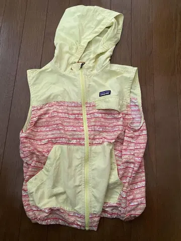 Patagonia 집업 베스트