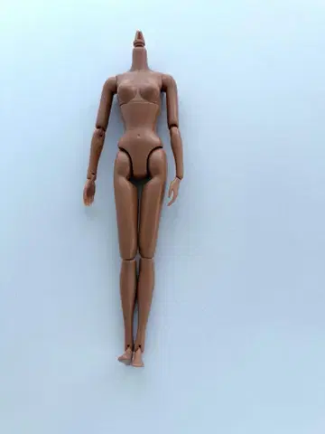 펫웍스 Momoko 가동 바디 일광화상 피부