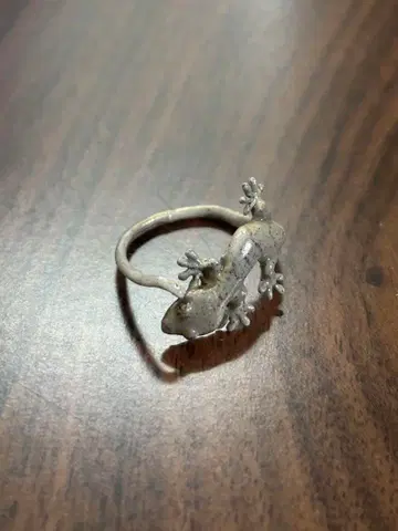 일본 도마뱀 반지 Nina