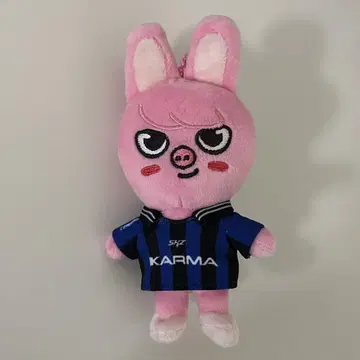 straykids karma skzoover 돼끼