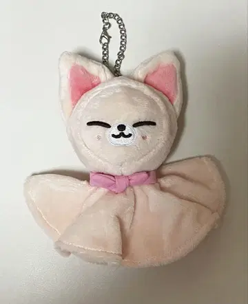 StrayKids 아이엔 폭시니 테루테루보즈